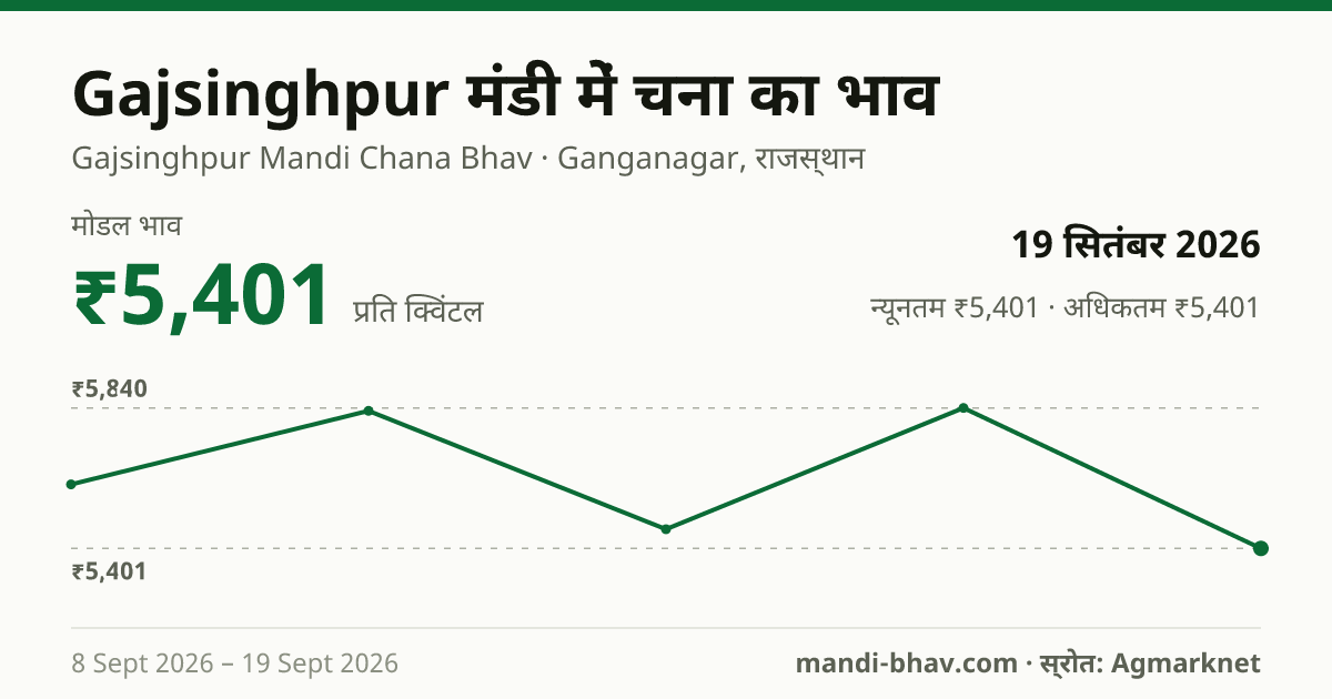 Gajsinghpur मंडी में चना का भाव 19 सितंबर 2026: मोडल ₹5,401 प्रति क्विंटल, भाव के रुझान का चार्ट