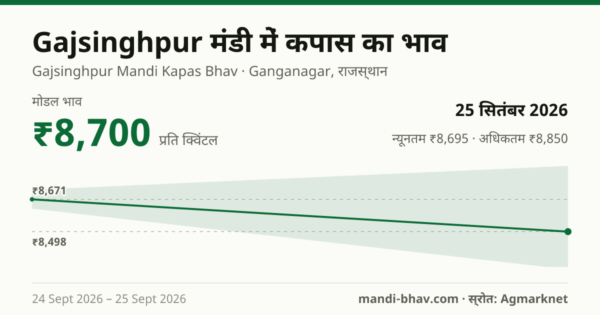 Gajsinghpur मंडी में कपास का भाव 25 सितंबर 2026: मोडल ₹8,700 प्रति क्विंटल, भाव के रुझान का चार्ट
