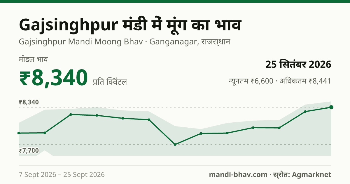Gajsinghpur मंडी में मूंग का भाव 25 सितंबर 2026: मोडल ₹8,340 प्रति क्विंटल, भाव के रुझान का चार्ट
