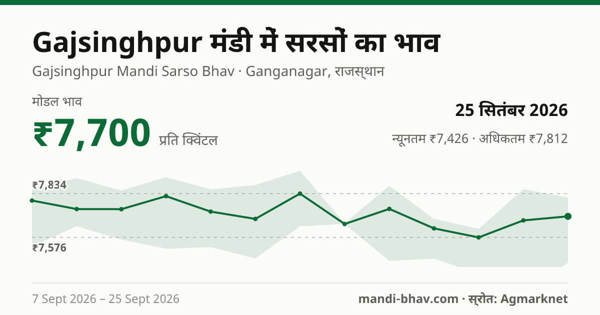 Gajsinghpur मंडी में सरसों का भाव 25 सितंबर 2026: मोडल ₹7,700 प्रति क्विंटल, भाव के रुझान का चार्ट
