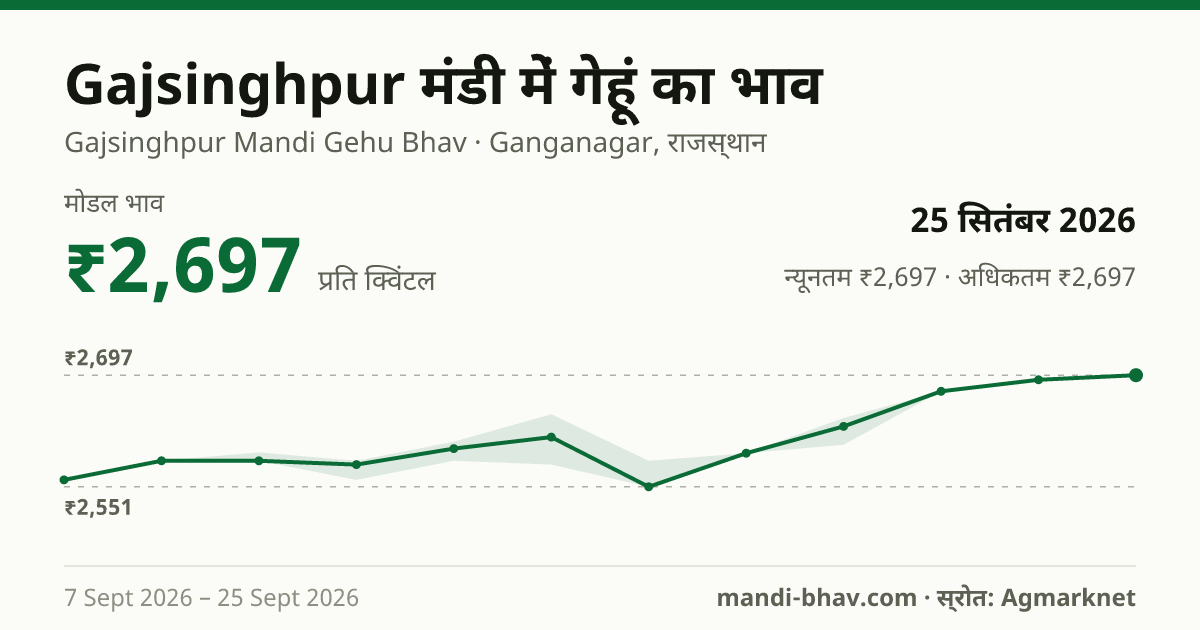 Gajsinghpur मंडी में गेहूं का भाव 25 सितंबर 2026: मोडल ₹2,697 प्रति क्विंटल, भाव के रुझान का चार्ट