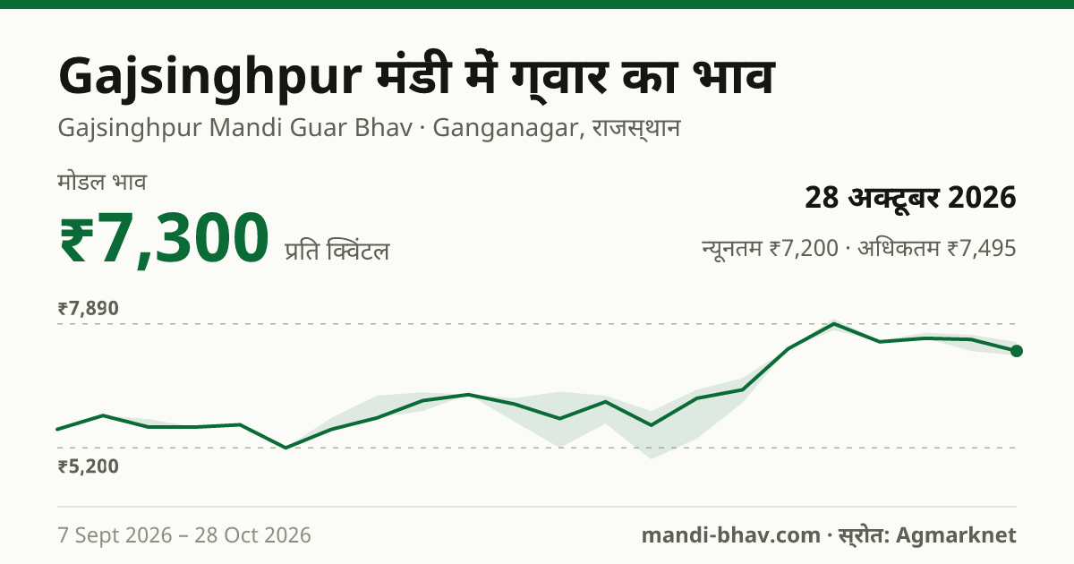 Gajsinghpur मंडी में ग्वार का भाव 28 अक्टूबर 2026: मोडल ₹7,300 प्रति क्विंटल, भाव के रुझान का चार्ट