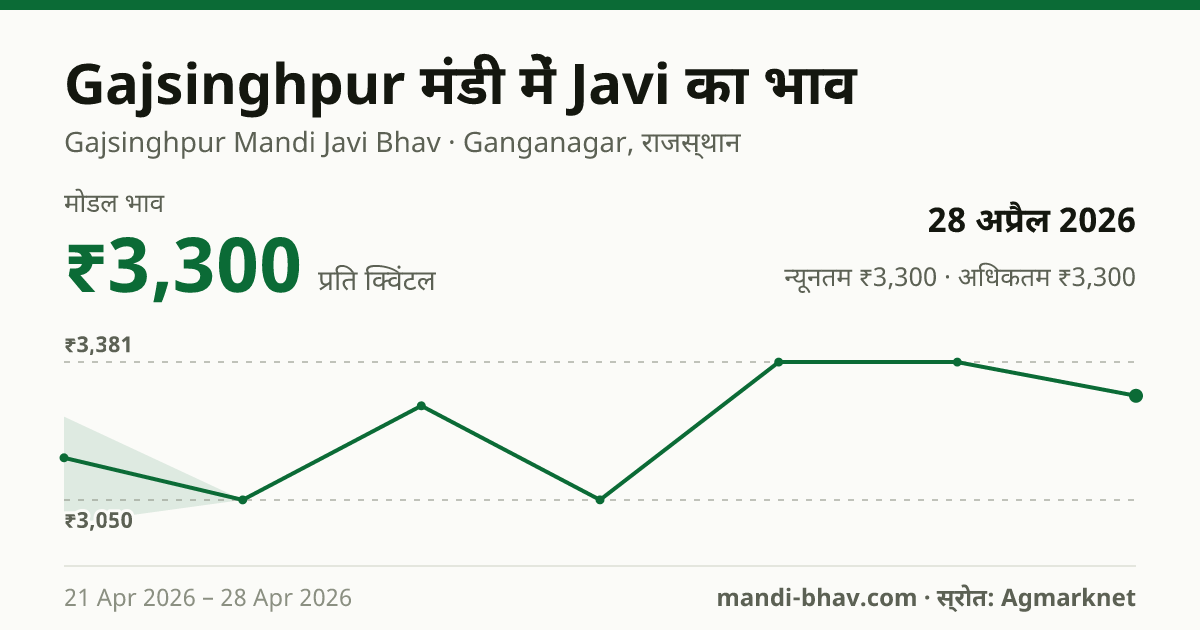 Gajsinghpur मंडी में Javi का भाव 28 अप्रैल 2026: मोडल ₹3,300 प्रति क्विंटल, भाव के रुझान का चार्ट