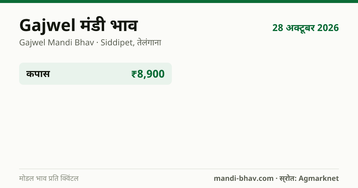 Gajwel मंडी भाव 28 अक्टूबर 2026: फसलवार मोडल रेट प्रति क्विंटल