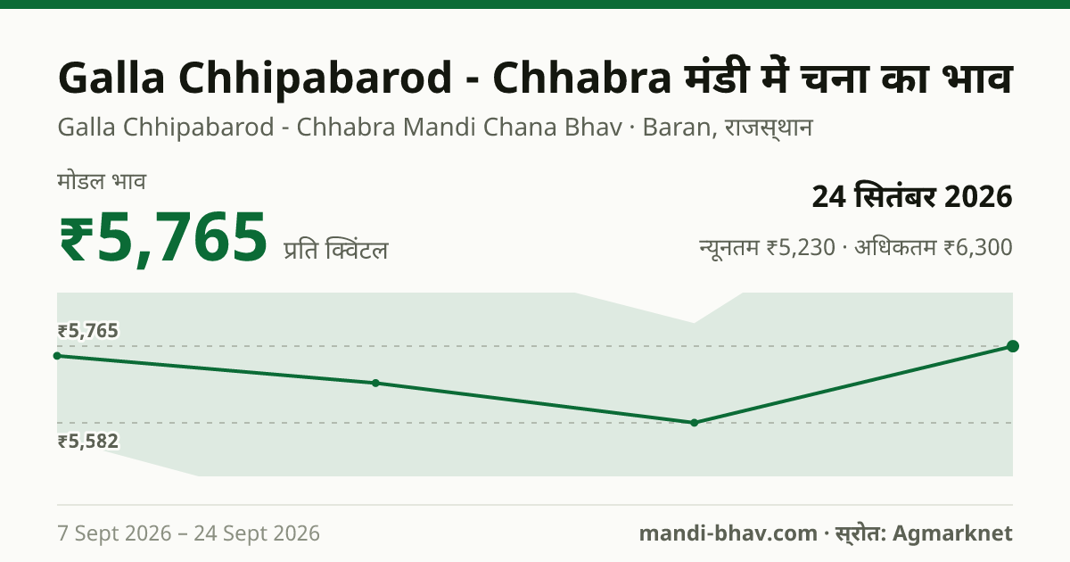 Galla Chhipabarod - Chhabra मंडी में चना का भाव 24 सितंबर 2026: मोडल ₹5,765 प्रति क्विंटल, भाव के रुझान का चार्ट