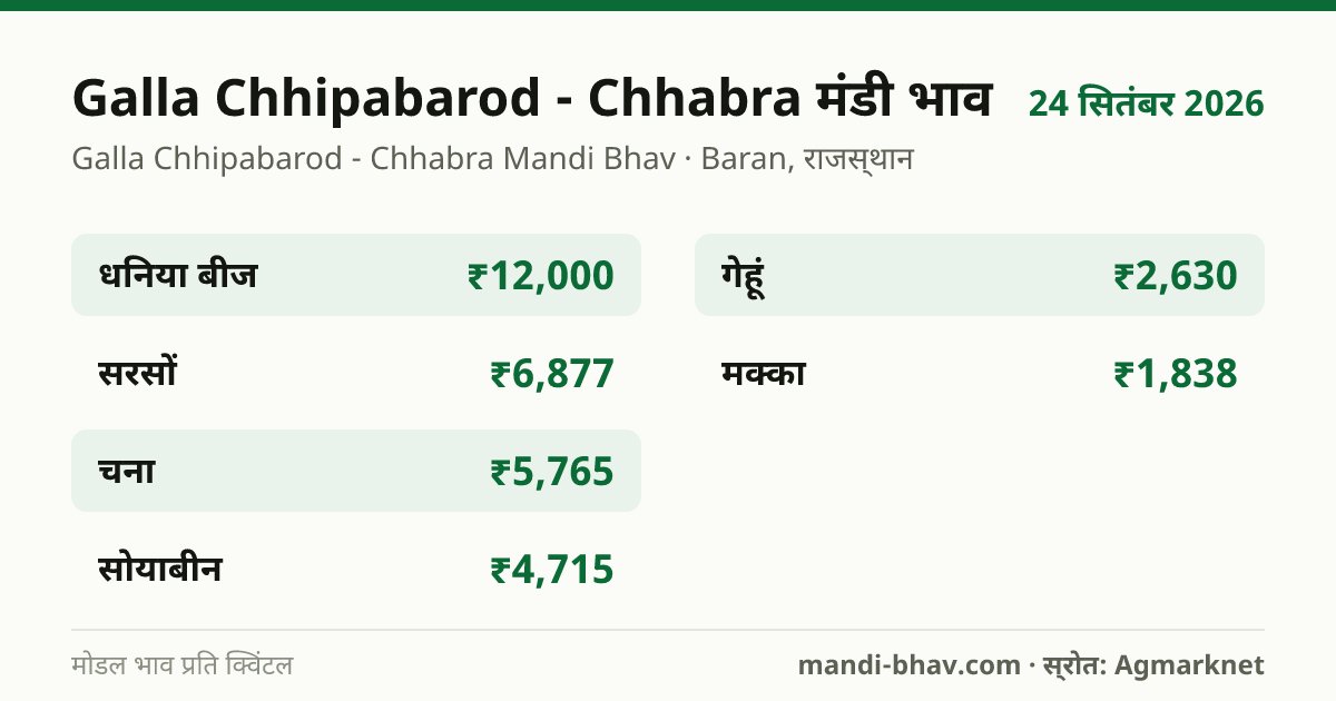 Galla Chhipabarod - Chhabra मंडी भाव 24 सितंबर 2026: फसलवार मोडल रेट प्रति क्विंटल