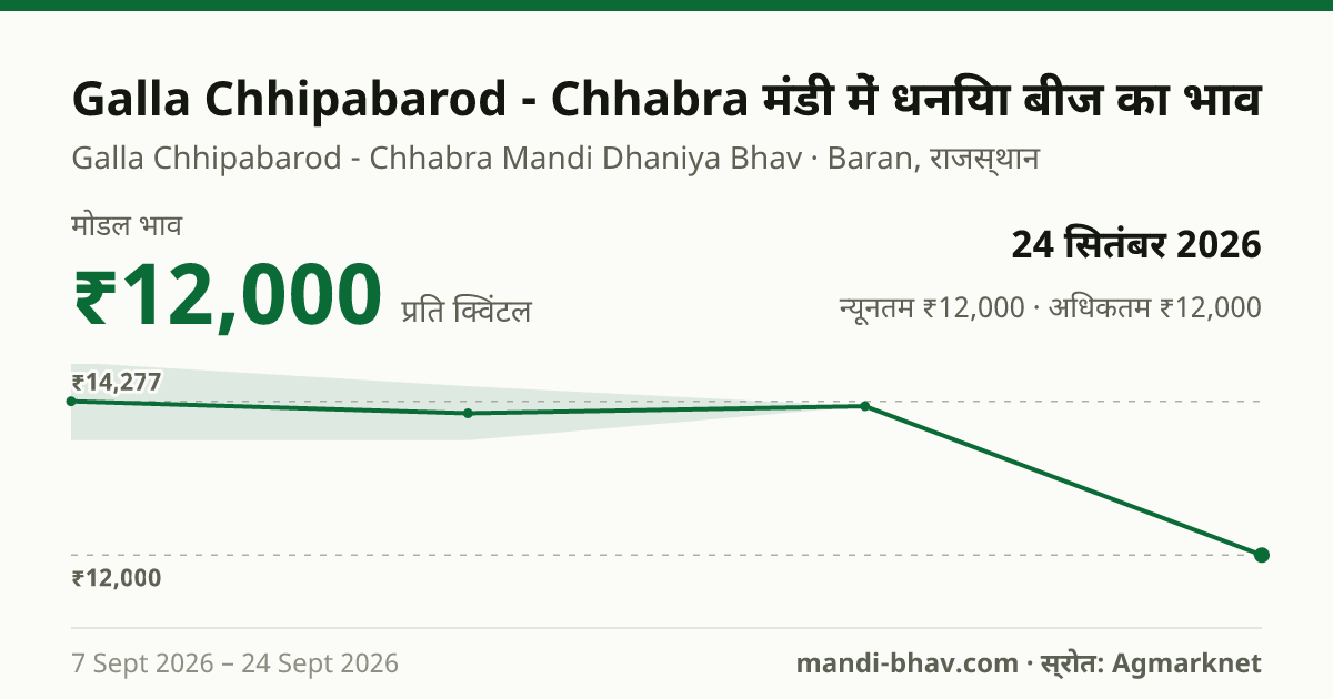 Galla Chhipabarod - Chhabra मंडी में धनिया बीज का भाव 24 सितंबर 2026: मोडल ₹12,000 प्रति क्विंटल, भाव के रुझान का चार्ट