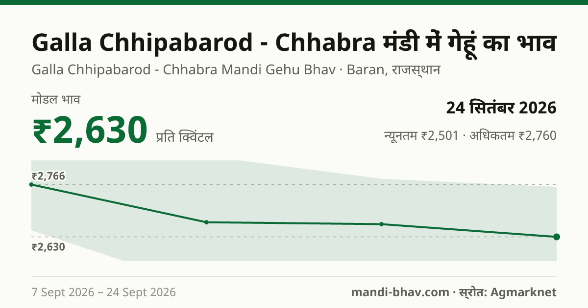 Galla Chhipabarod - Chhabra मंडी में गेहूं का भाव 24 सितंबर 2026: मोडल ₹2,630 प्रति क्विंटल, भाव के रुझान का चार्ट