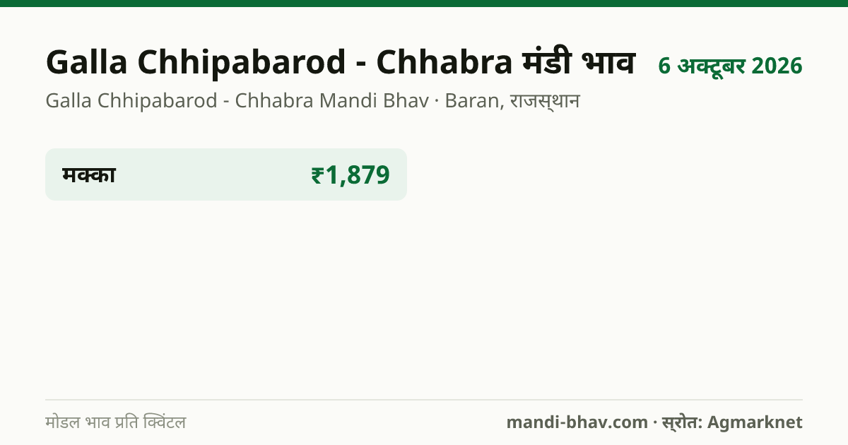 Galla Chhipabarod - Chhabra मंडी भाव 6 अक्टूबर 2026: फसलवार मोडल रेट प्रति क्विंटल