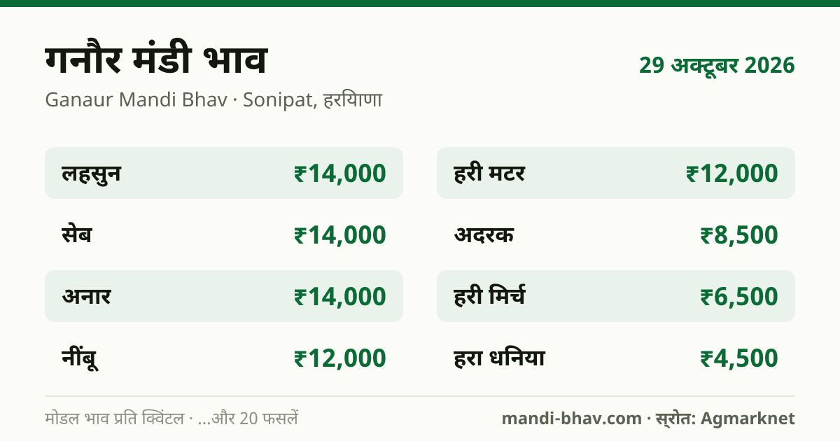 गनौर मंडी भाव 29 अक्टूबर 2026: फसलवार मोडल रेट प्रति क्विंटल
