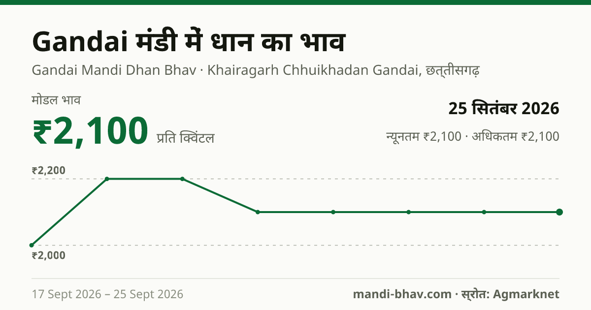 Gandai मंडी में धान का भाव 25 सितंबर 2026: मोडल ₹2,100 प्रति क्विंटल, भाव के रुझान का चार्ट