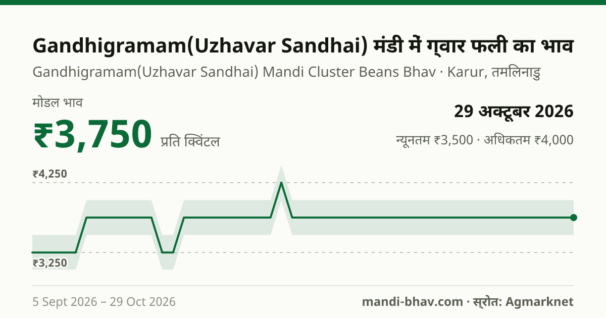 Gandhigramam(Uzhavar Sandhai) मंडी में ग्वार फली का भाव 29 अक्टूबर 2026: मोडल ₹3,750 प्रति क्विंटल, भाव के रुझान का चार्ट