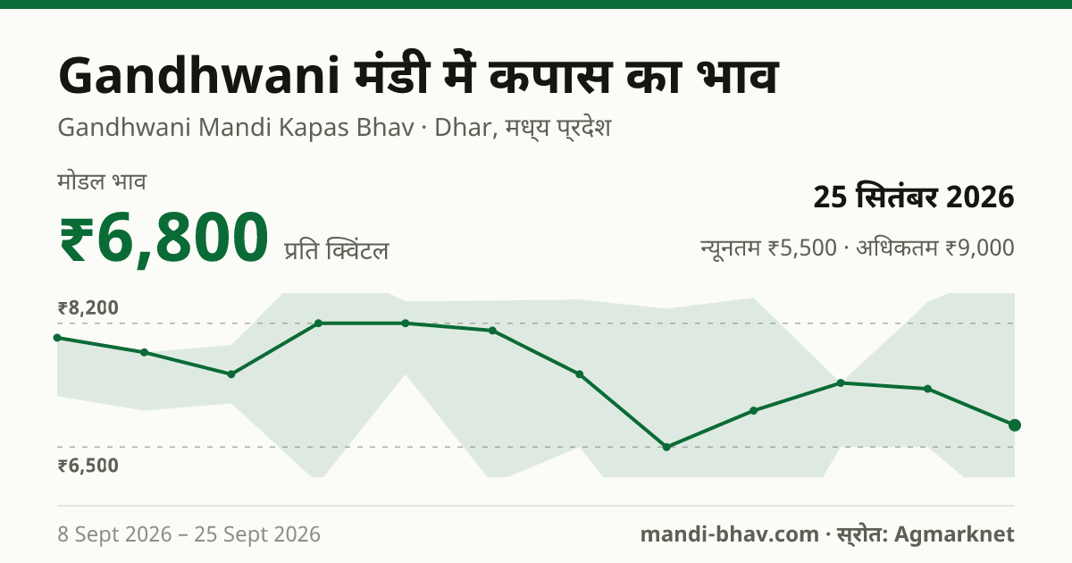 Gandhwani मंडी में कपास का भाव 25 सितंबर 2026: मोडल ₹6,800 प्रति क्विंटल, भाव के रुझान का चार्ट