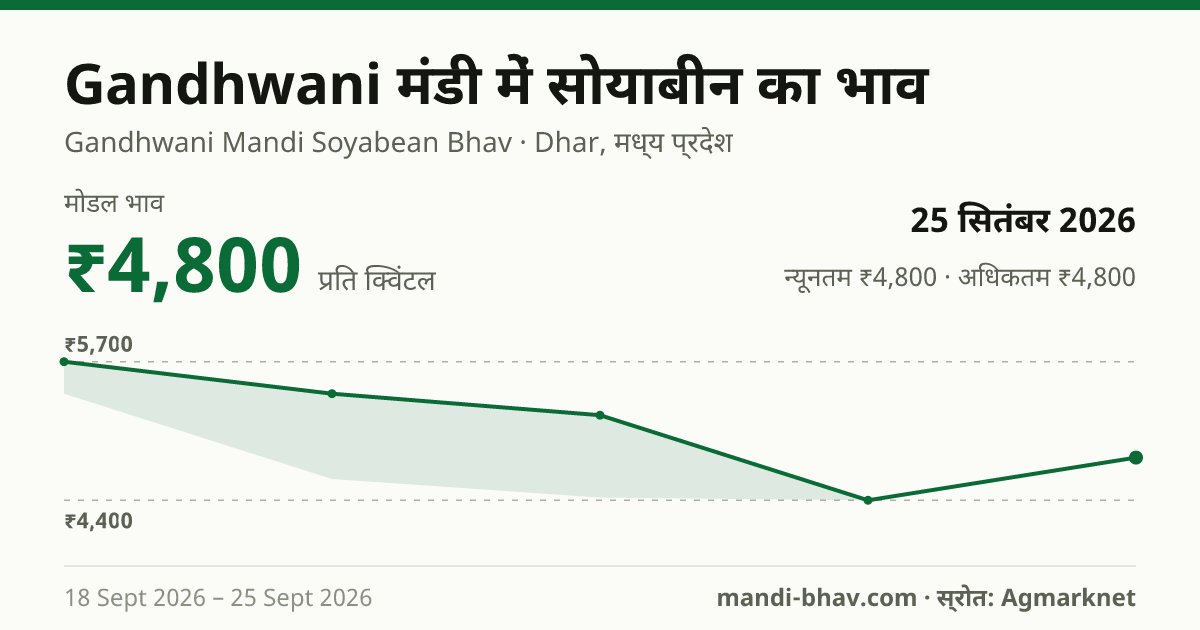 Gandhwani मंडी में सोयाबीन का भाव 25 सितंबर 2026: मोडल ₹4,800 प्रति क्विंटल, भाव के रुझान का चार्ट