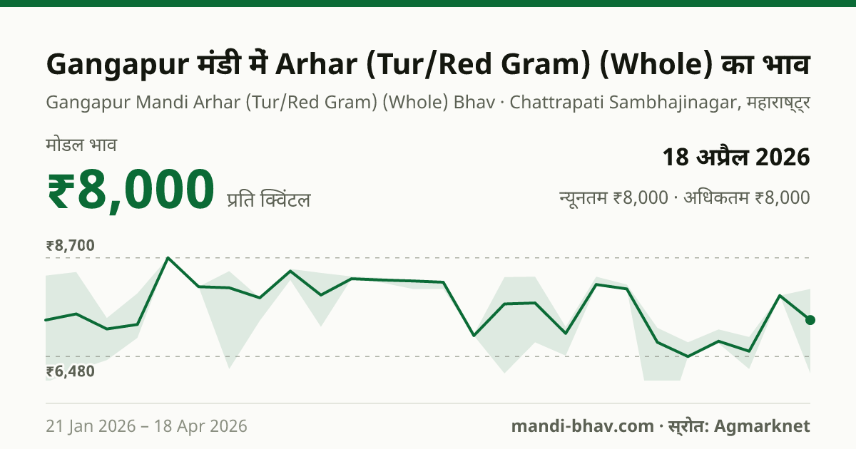 Gangapur मंडी में Arhar (Tur/Red Gram) (Whole) का भाव 18 अप्रैल 2026: मोडल ₹8,000 प्रति क्विंटल, भाव के रुझान का चार्ट