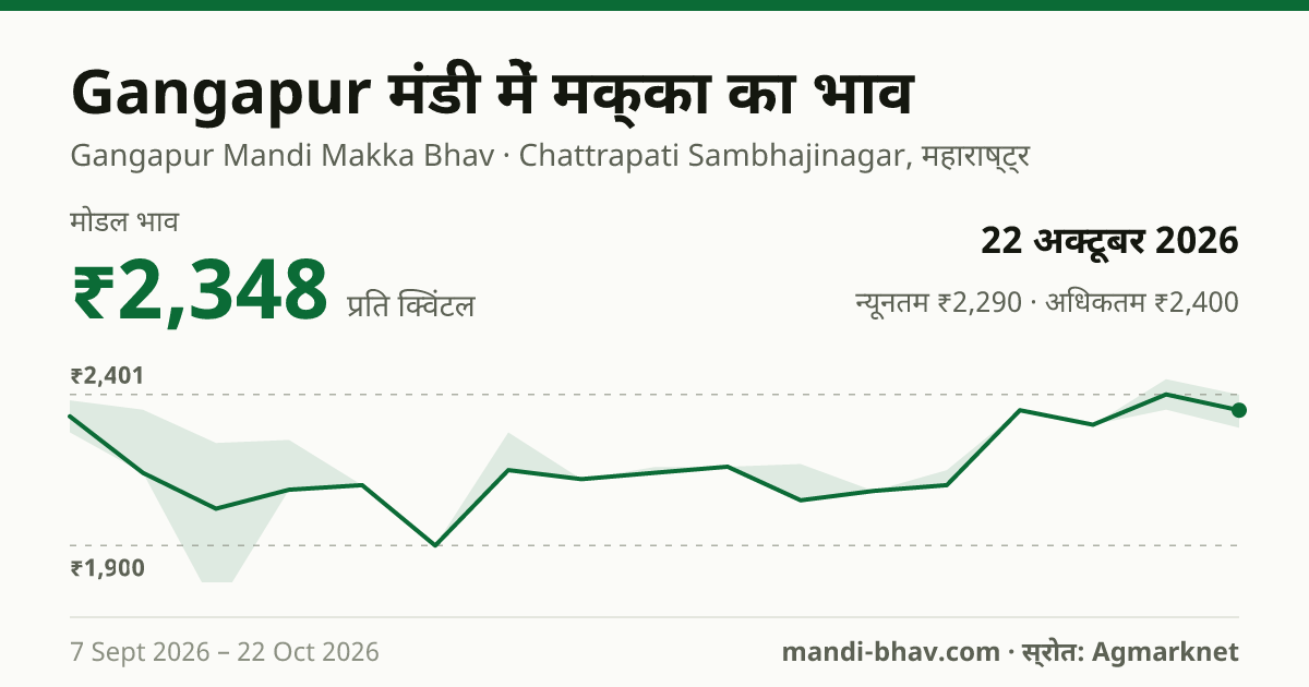 Gangapur मंडी में मक्का का भाव 22 अक्टूबर 2026: मोडल ₹2,348 प्रति क्विंटल, भाव के रुझान का चार्ट
