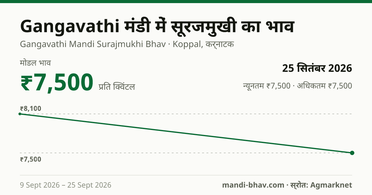 Gangavathi मंडी में सूरजमुखी का भाव 25 सितंबर 2026: मोडल ₹7,500 प्रति क्विंटल, भाव के रुझान का चार्ट