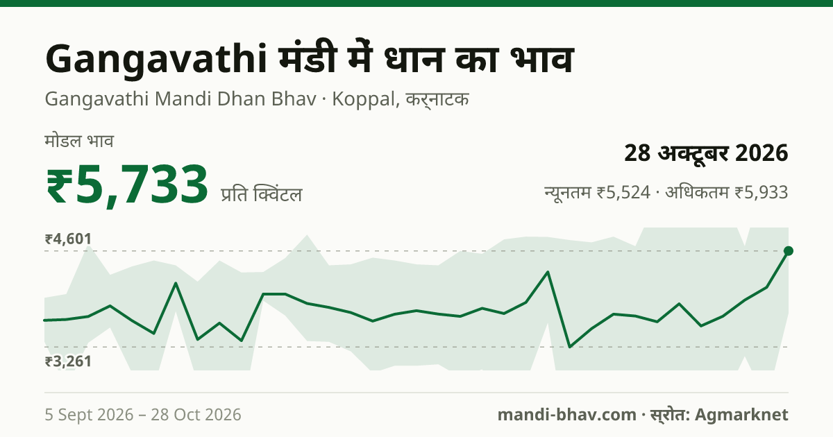 Gangavathi मंडी में धान का भाव 28 अक्टूबर 2026: मोडल ₹5,733 प्रति क्विंटल, भाव के रुझान का चार्ट