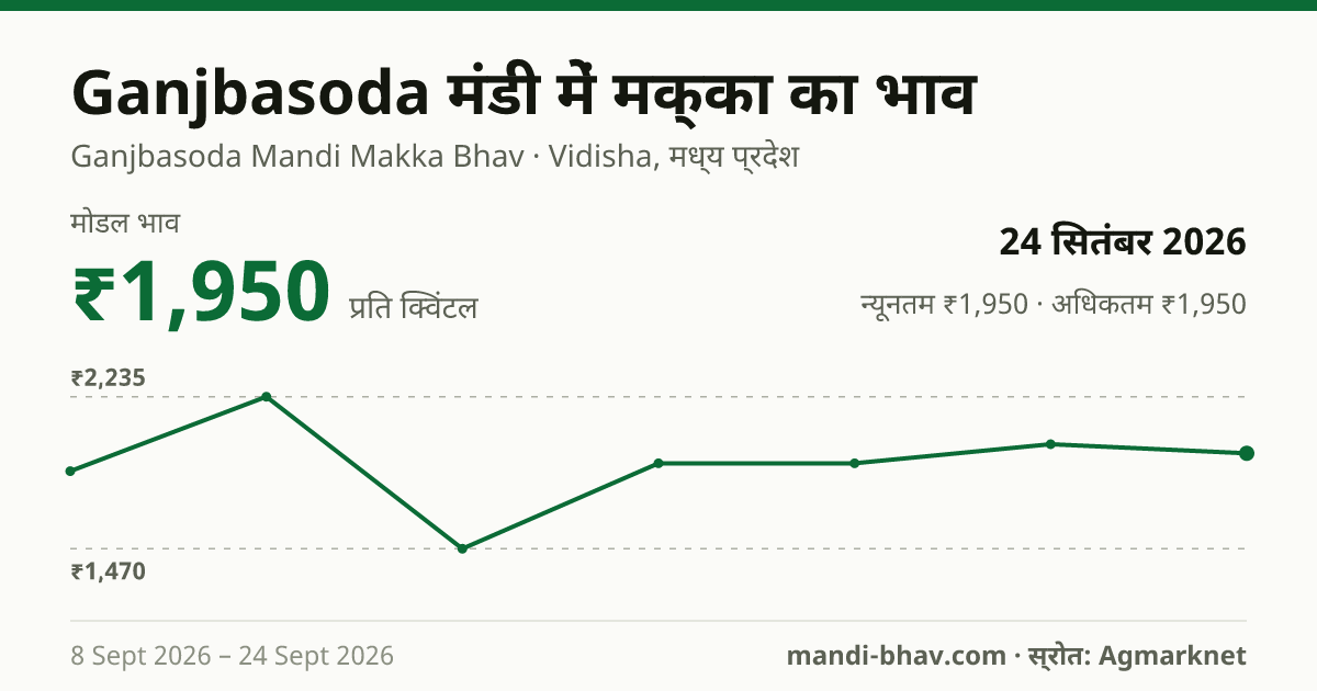 Ganjbasoda मंडी में मक्का का भाव 24 सितंबर 2026: मोडल ₹1,950 प्रति क्विंटल, भाव के रुझान का चार्ट