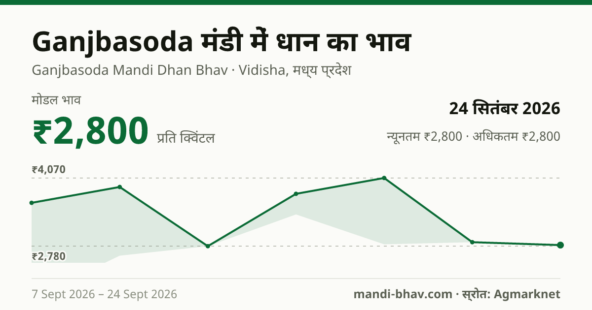 Ganjbasoda मंडी में धान का भाव 24 सितंबर 2026: मोडल ₹2,800 प्रति क्विंटल, भाव के रुझान का चार्ट