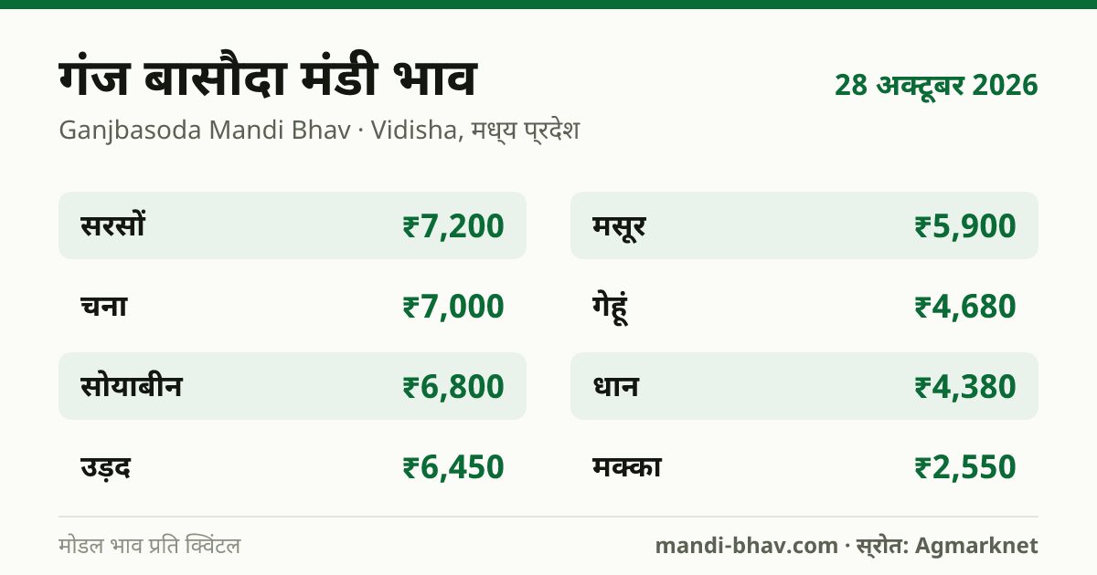 Ganjbasoda मंडी भाव 28 अक्टूबर 2026: फसलवार मोडल रेट प्रति क्विंटल