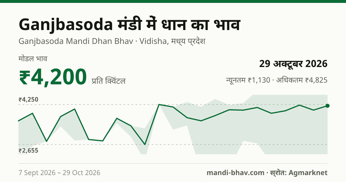 Ganjbasoda मंडी में धान का भाव 29 अक्टूबर 2026: मोडल ₹4,650 प्रति क्विंटल, भाव के रुझान का चार्ट