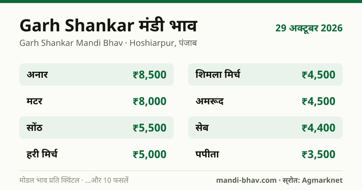 Garh Shankar मंडी भाव 29 अक्टूबर 2026: फसलवार मोडल रेट प्रति क्विंटल
