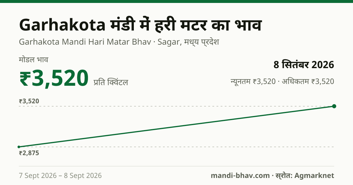 Garhakota मंडी में हरी मटर का भाव 8 सितंबर 2026: मोडल ₹3,520 प्रति क्विंटल, भाव के रुझान का चार्ट