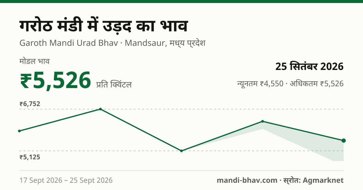 गरोठ मंडी में उड़द का भाव 25 सितंबर 2026: मोडल ₹5,526 प्रति क्विंटल, भाव के रुझान का चार्ट