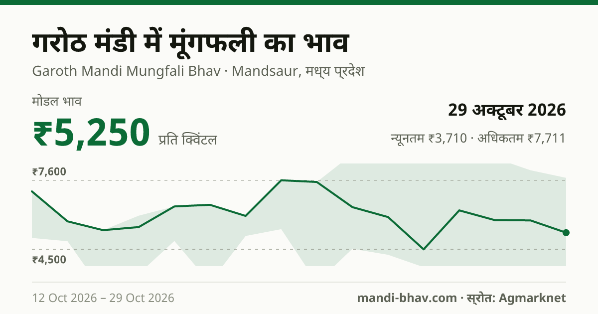 गरोठ मंडी में मूंगफली का भाव 29 अक्टूबर 2026: मोडल ₹7,711 प्रति क्विंटल, भाव के रुझान का चार्ट