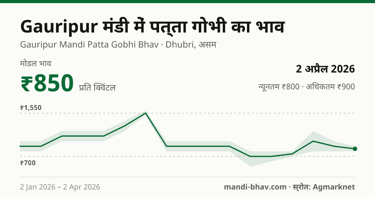 Gauripur मंडी में पत्ता गोभी का भाव 2 अप्रैल 2026: मोडल ₹850 प्रति क्विंटल, भाव के रुझान का चार्ट
