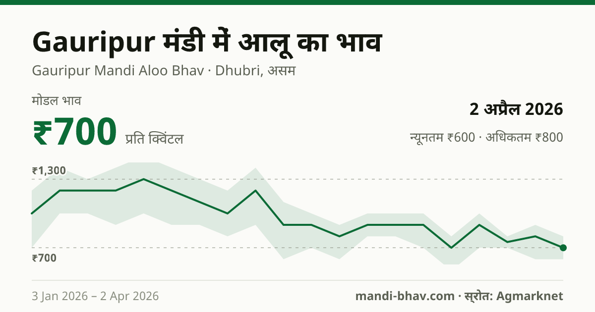 Gauripur मंडी में आलू का भाव 2 अप्रैल 2026: मोडल ₹700 प्रति क्विंटल, भाव के रुझान का चार्ट