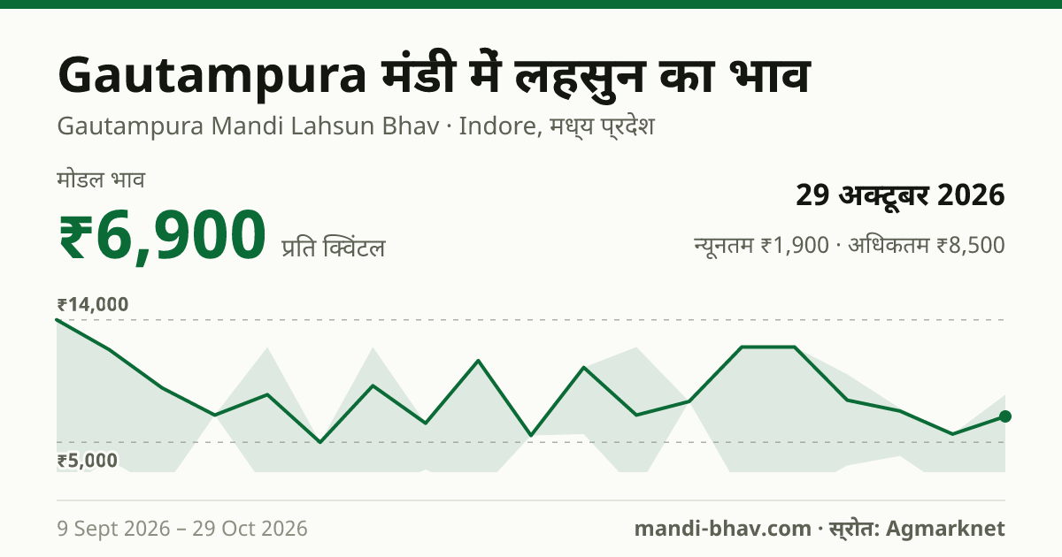 Gautampura मंडी में लहसुन का भाव 29 अक्टूबर 2026: मोडल ₹6,000 प्रति क्विंटल, भाव के रुझान का चार्ट