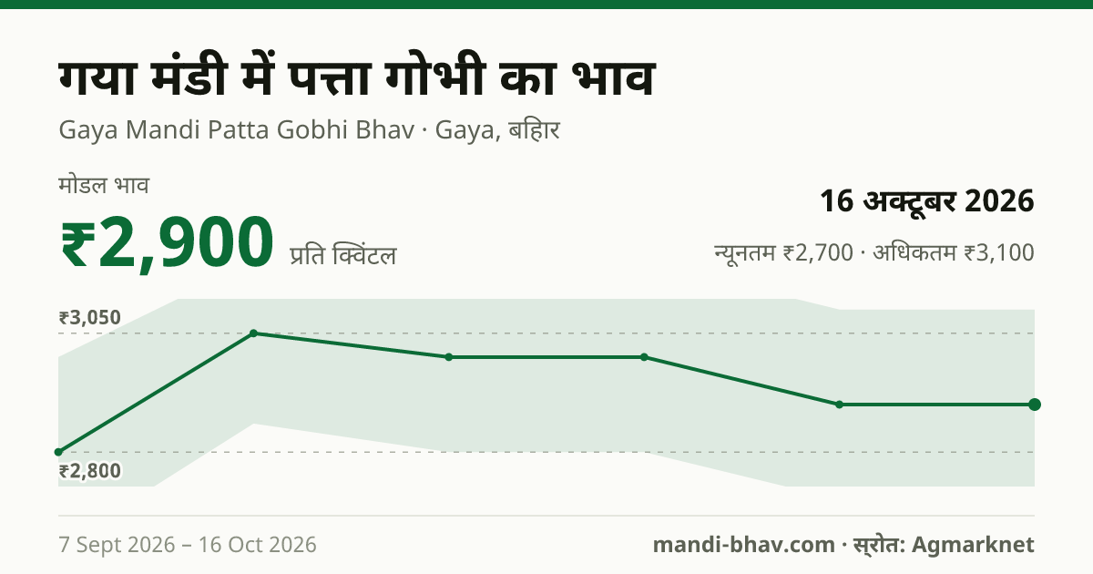गया मंडी में पत्ता गोभी का भाव 16 अक्टूबर 2026: मोडल ₹2,900 प्रति क्विंटल, भाव के रुझान का चार्ट