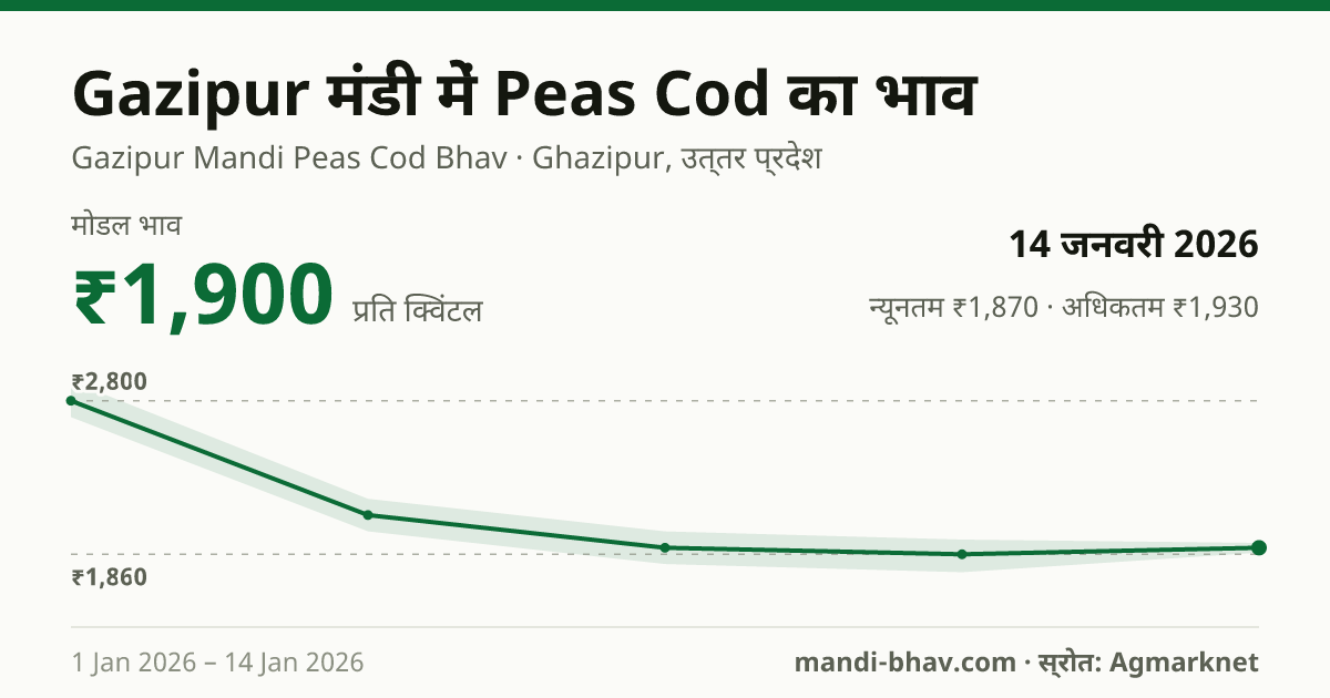 Gazipur मंडी में Peas Cod का भाव 14 जनवरी 2026: मोडल ₹1,900 प्रति क्विंटल, भाव के रुझान का चार्ट