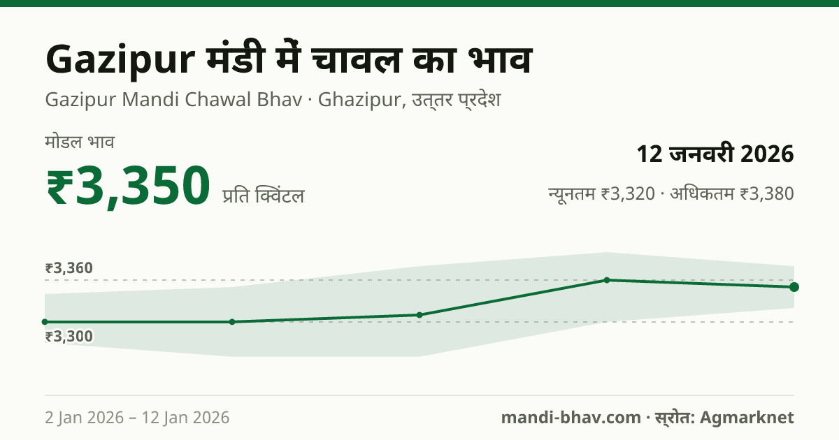 Gazipur मंडी में चावल का भाव 12 जनवरी 2026: मोडल ₹3,350 प्रति क्विंटल, भाव के रुझान का चार्ट