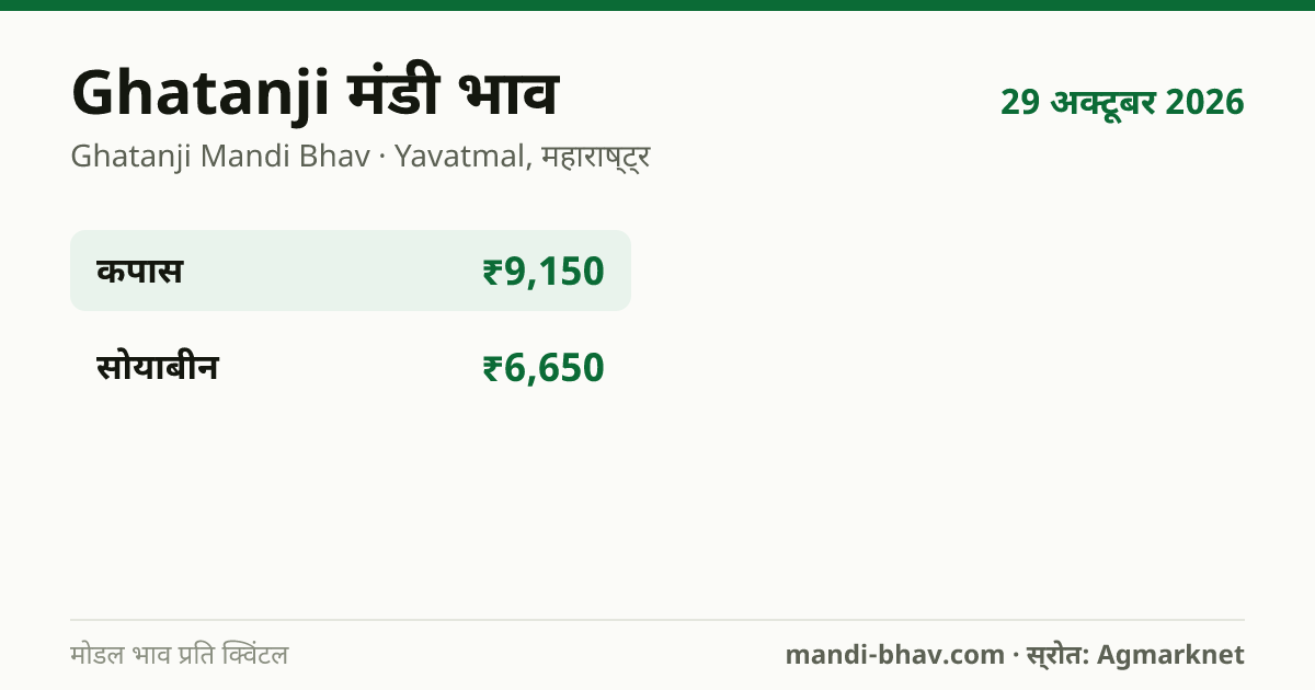 Ghatanji मंडी भाव 29 अक्टूबर 2026: फसलवार मोडल रेट प्रति क्विंटल
