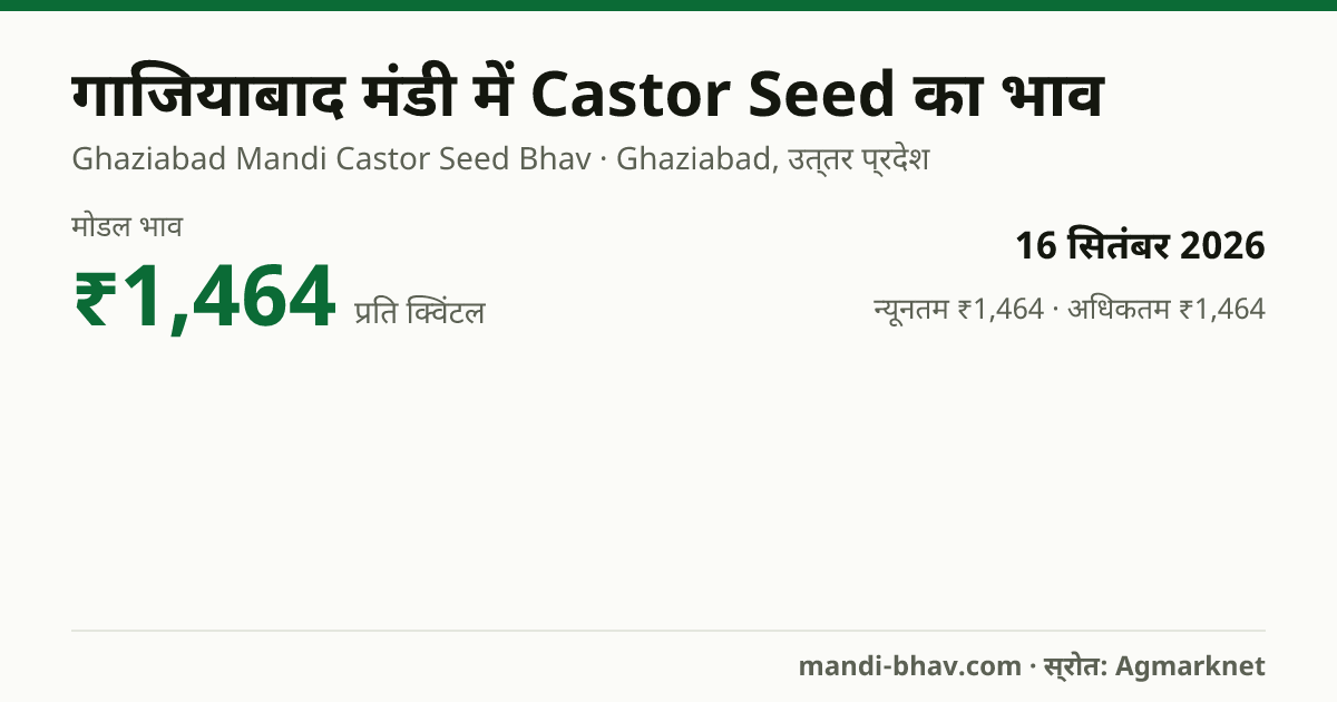 गाजियाबाद मंडी में Castor Seed का भाव 16 सितंबर 2026: मोडल ₹1,464 प्रति क्विंटल, भाव के रुझान का चार्ट