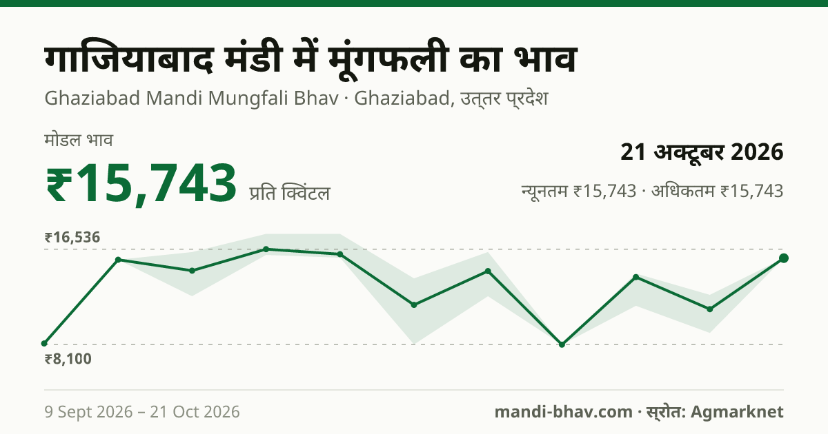 गाजियाबाद मंडी में मूंगफली का भाव 21 अक्टूबर 2026: मोडल ₹15,743 प्रति क्विंटल, भाव के रुझान का चार्ट