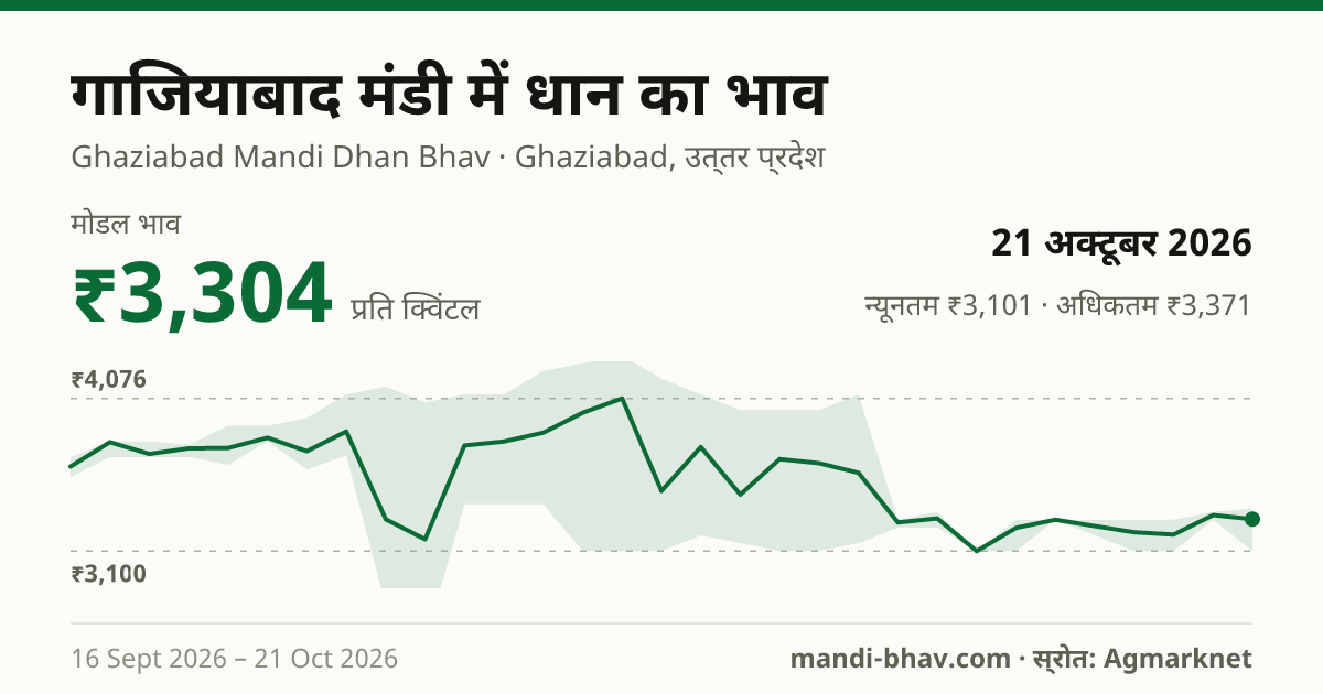 गाजियाबाद मंडी में धान का भाव 21 अक्टूबर 2026: मोडल ₹3,304 प्रति क्विंटल, भाव के रुझान का चार्ट
