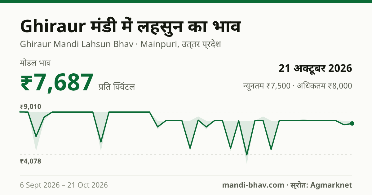 Ghiraur मंडी में लहसुन का भाव 21 अक्टूबर 2026: मोडल ₹7,687 प्रति क्विंटल, भाव के रुझान का चार्ट