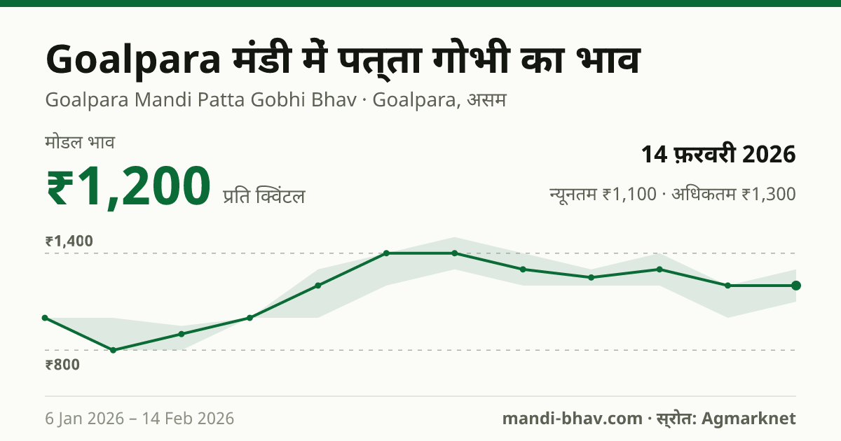 Goalpara मंडी में पत्ता गोभी का भाव 14 फ़रवरी 2026: मोडल ₹1,200 प्रति क्विंटल, भाव के रुझान का चार्ट