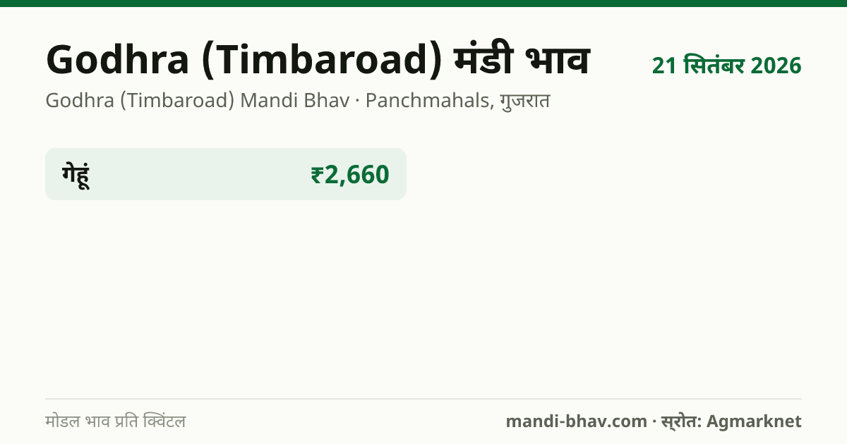 Godhra (Timbaroad) मंडी भाव 21 सितंबर 2026: फसलवार मोडल रेट प्रति क्विंटल