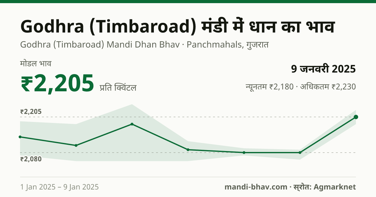 Godhra (Timbaroad) मंडी में धान का भाव 9 जनवरी 2025: मोडल ₹2,205 प्रति क्विंटल, भाव के रुझान का चार्ट