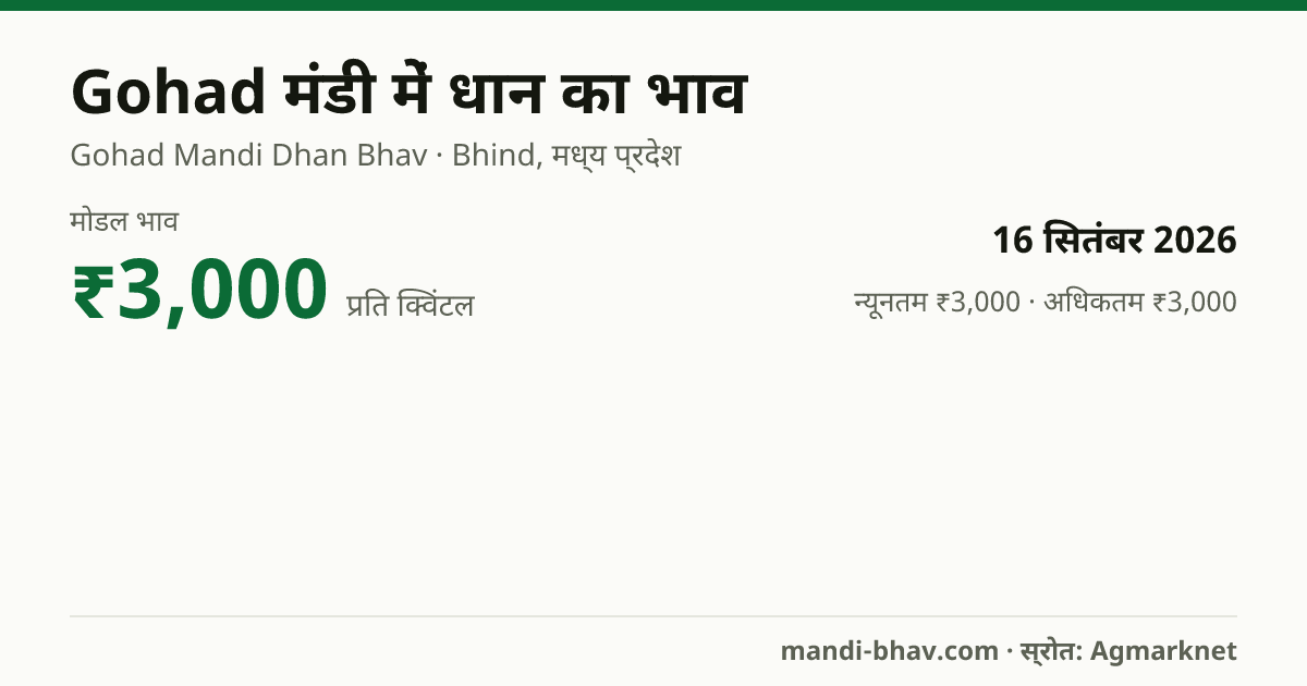 Gohad मंडी में धान का भाव 16 सितंबर 2026: मोडल ₹3,000 प्रति क्विंटल, भाव के रुझान का चार्ट