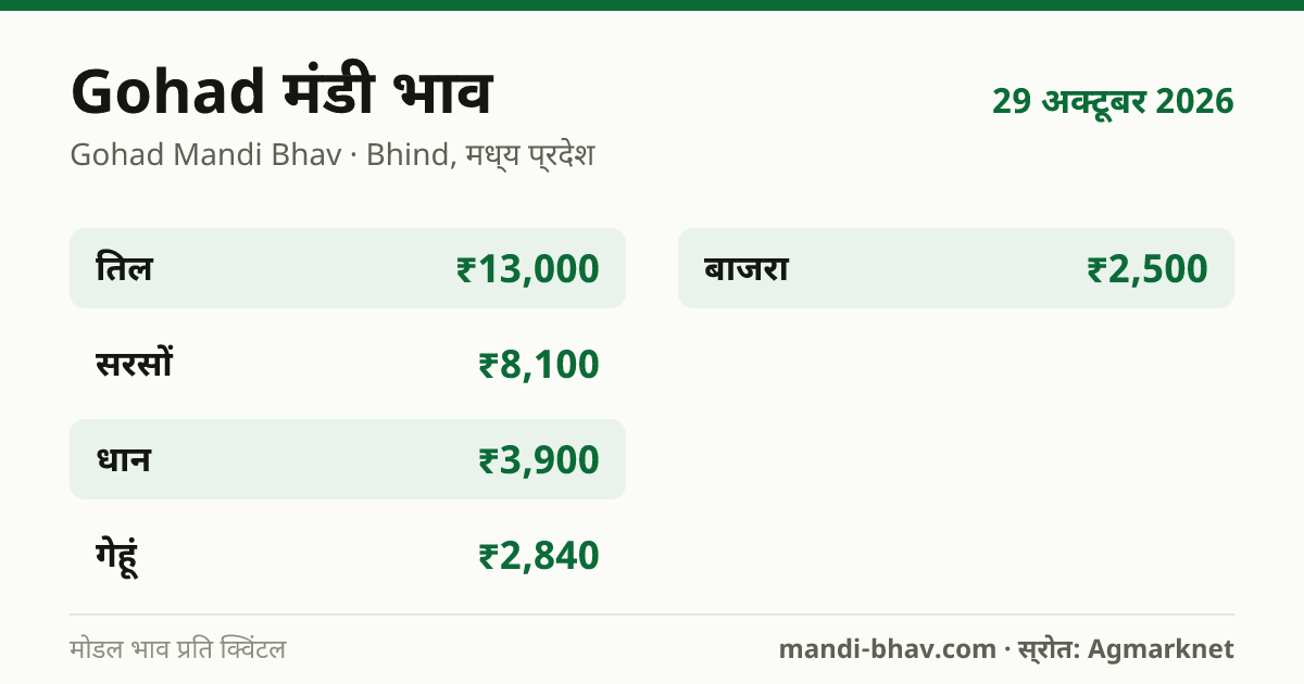Gohad मंडी भाव 29 अक्टूबर 2026: फसलवार मोडल रेट प्रति क्विंटल