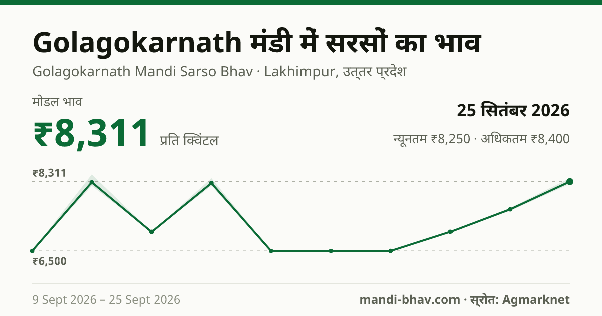 Golagokarnath मंडी में सरसों का भाव 25 सितंबर 2026: मोडल ₹8,311 प्रति क्विंटल, भाव के रुझान का चार्ट
