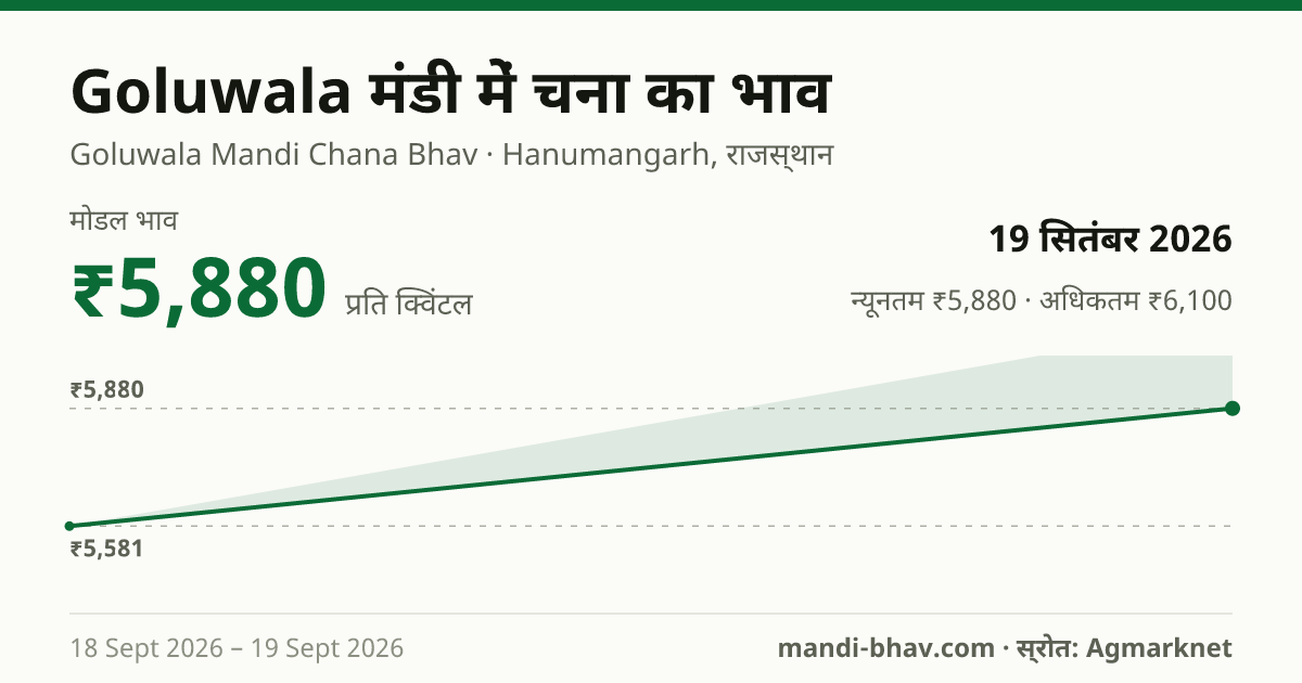 Goluwala मंडी में चना का भाव 19 सितंबर 2026: मोडल ₹5,880 प्रति क्विंटल, भाव के रुझान का चार्ट