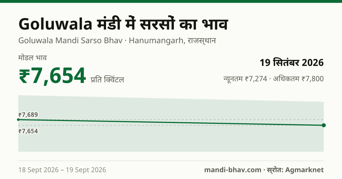 Goluwala मंडी में सरसों का भाव 19 सितंबर 2026: मोडल ₹7,654 प्रति क्विंटल, भाव के रुझान का चार्ट