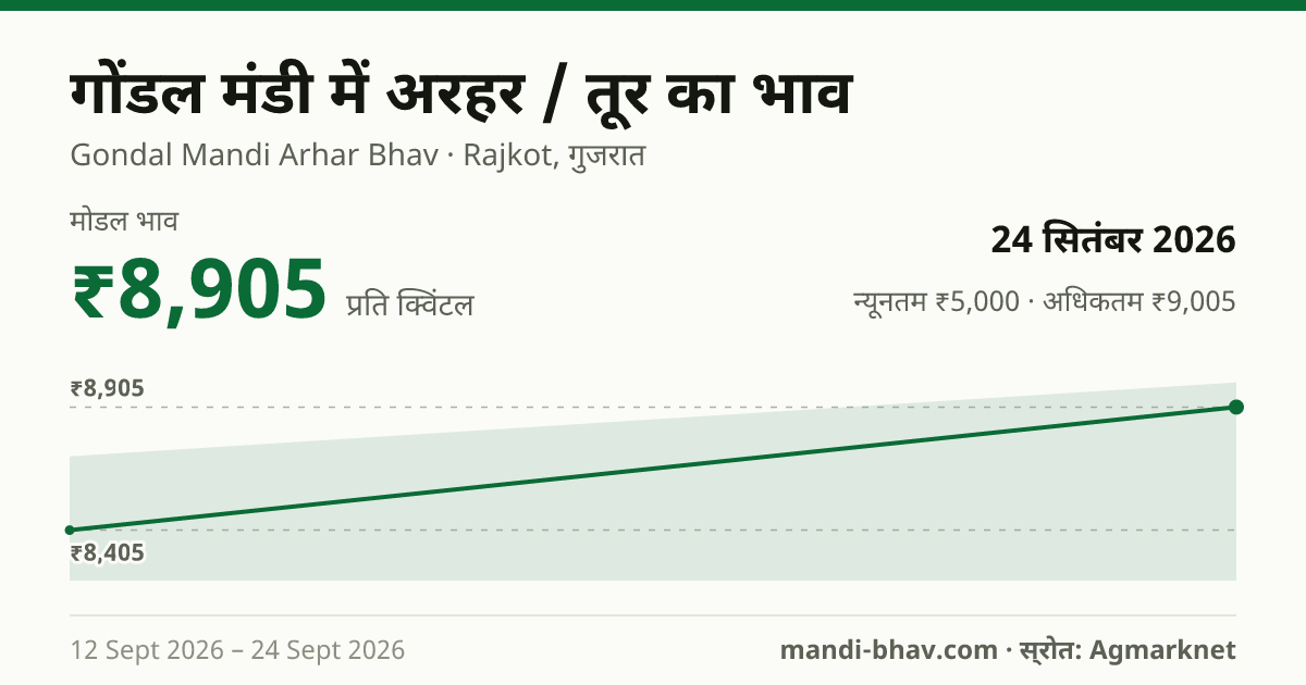 गोंडल मंडी में अरहर / तूर का भाव 24 सितंबर 2026: मोडल ₹8,905 प्रति क्विंटल, भाव के रुझान का चार्ट